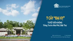 7-loai-cay-dai-ky-tuyet-doi-khong-trong-truoc-nha-tchome