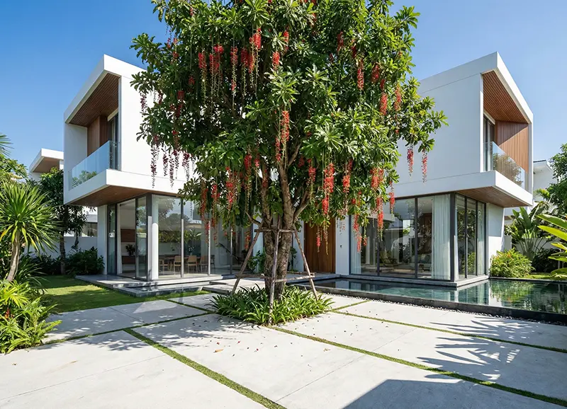 mau-cay-loc-vung-trong-truoc-nha-dep-hop-phong-thuy-tai-loc