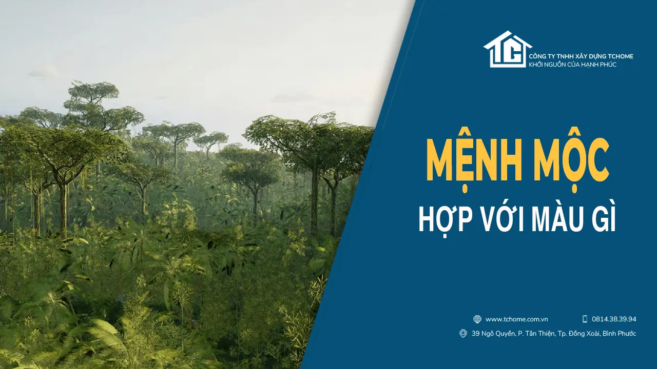 Mệnh mộc hợp với màu gì?