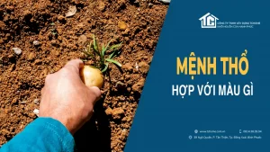Mệnh thổ hợp với màu gì?