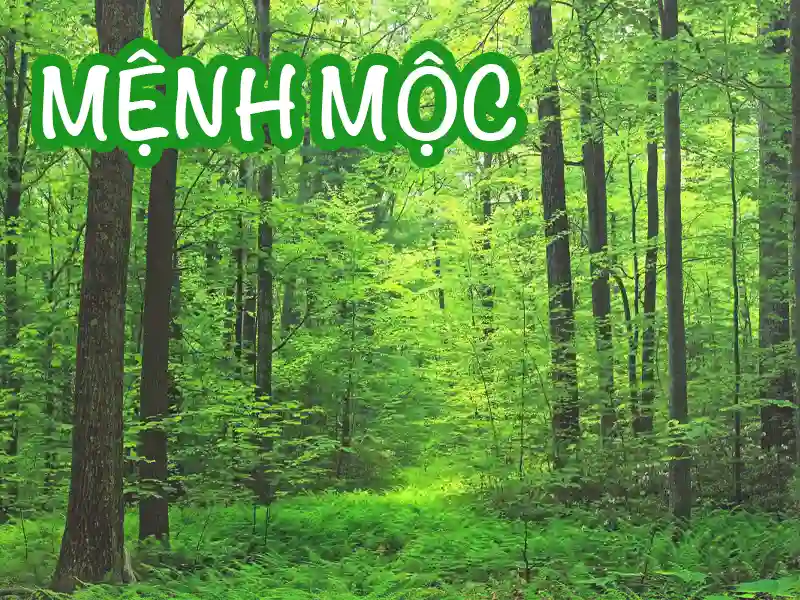 Mệnh Mộc: Đặc điểm và màu sắc phong thủy
