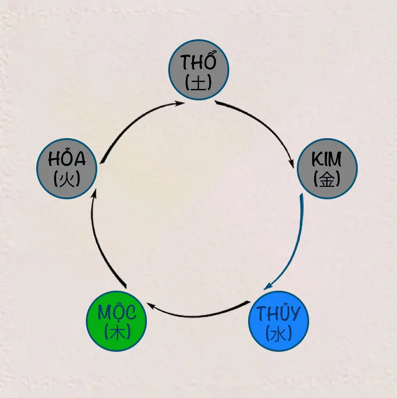 Quy luật Thủy sinh Mộc trong ngũ hành