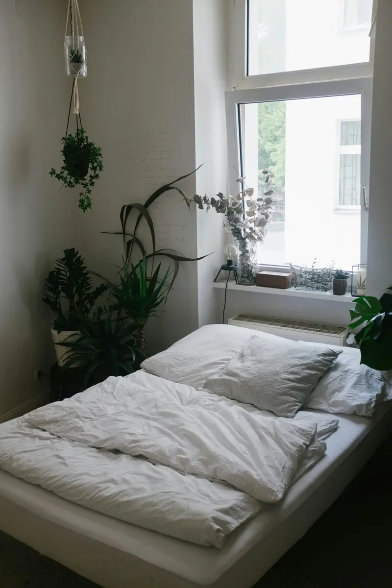 Cây xanh nhỏ trang trí trong phòng ngủ hiện đại mang lại không khí trong lành